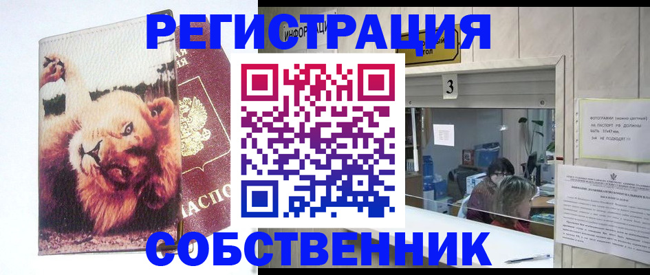 прописка поиск в Чайковском